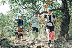 BIB: 
                            <button type="button" onclick="openModal(26093609)" class="btn btn-primary btn-sm float-right btn-popup" data-toggle="modal" data-target=".modal-high-quality">
                        <i class="fas fa-shopping-cart"></i> Add to Cart
                    </button>
                                            <button type="button" onclick="isThisMe(26093609, true)" class="btn btn-success btn-sm float-right btn-popup btn-isme hidden" data-toggle="tooltip" data-placement="bottom" title="นี่คือรูปของคุณใช่ไหม คลิกที่นี่เพื่อเอาเข้าอัลบั้ม">
                        <i class="fas fa-plus"></i> Add to album
                    </button>
                    <button type="button" onclick="isThisMe(26093609, false)" class="btn btn-warning btn-sm float-right btn-popup btn-isnotme hidden">
                        <i class="fas fa-ban"></i> Remove from album
                    </button>